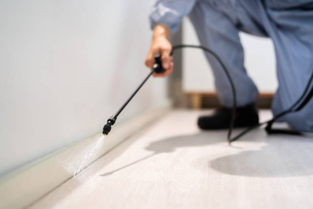 Licensed Termite Control service in Lincoln County County, NE - Nex Pest Control